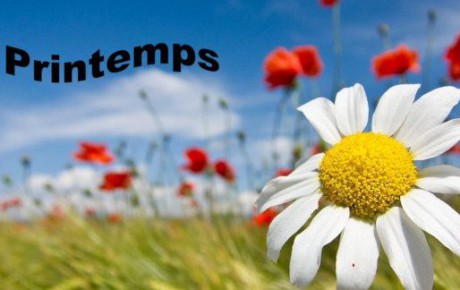 Ménage de printemps